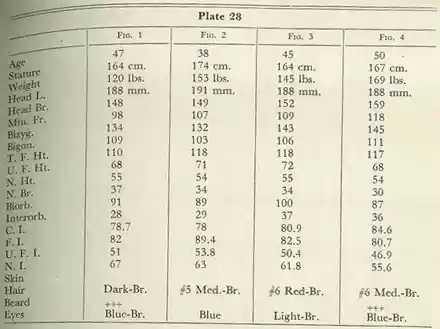 Plate 28